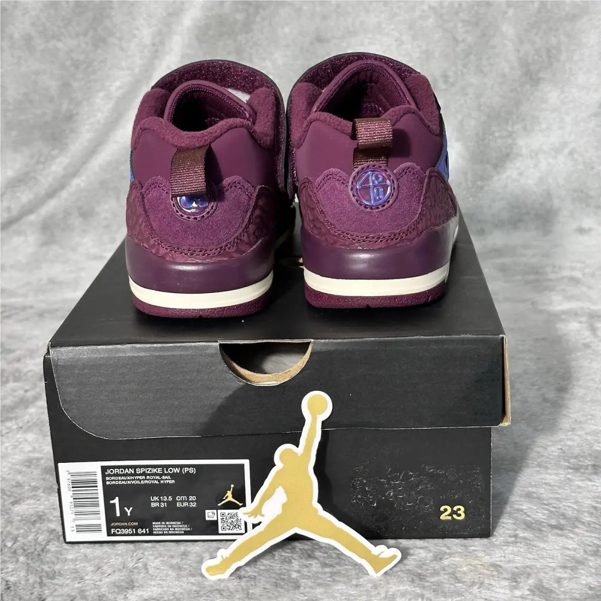 Nike shoes - Jordan Spizike - Spizike - FQ3951-641 - Bordeaux/Sail/Hyper Royal 1