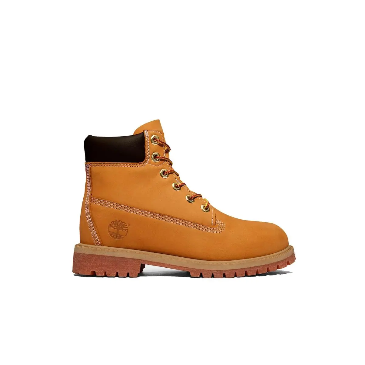 Big Kid`s  6 In Premium Boot Wheat TB112909 713 by Timberland