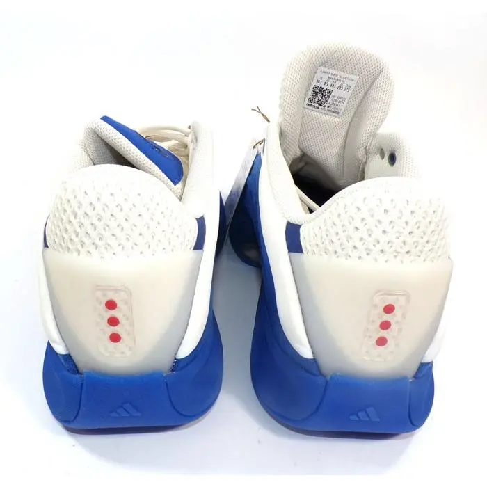 Adidas shoes 1