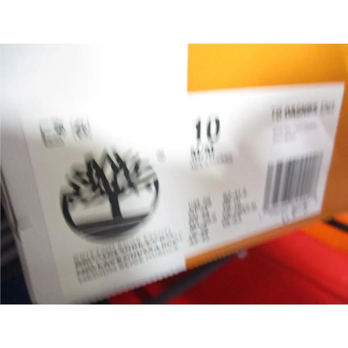 Timberland shoes - Britton Edge Essential - Britton Edge Essential - Beige 6