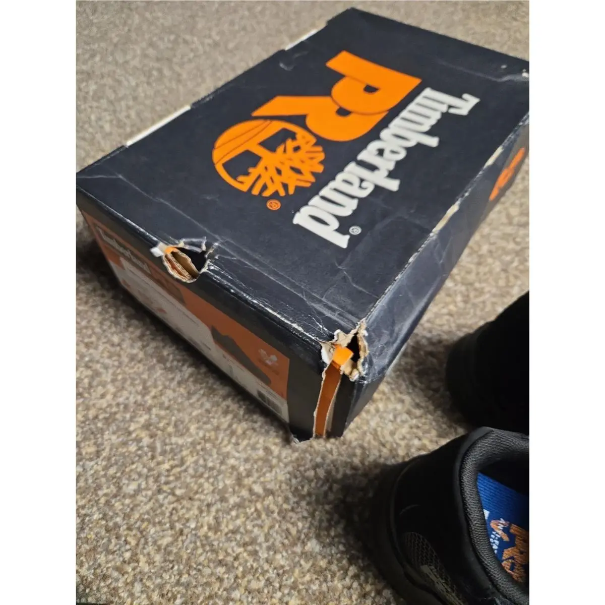 Timberland shoes - Timberland Pro Powertrain - Pro Powertrain - TB0A16NN001 - Black 5