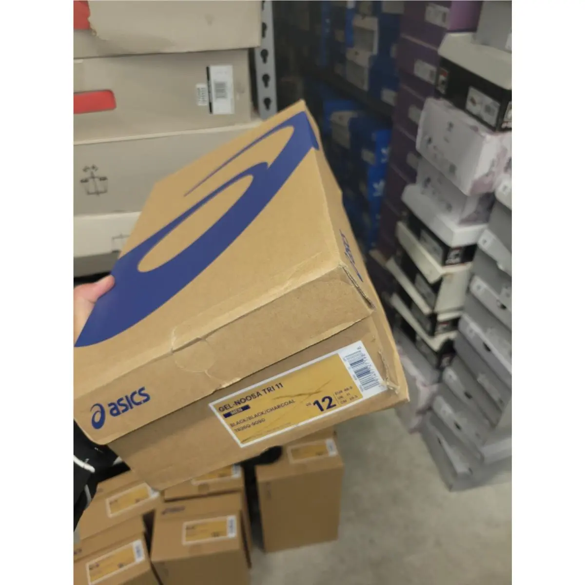 Asics shoes - ASICS GEL NOOSA TRI 11 - T626Q-9090 - Black 10