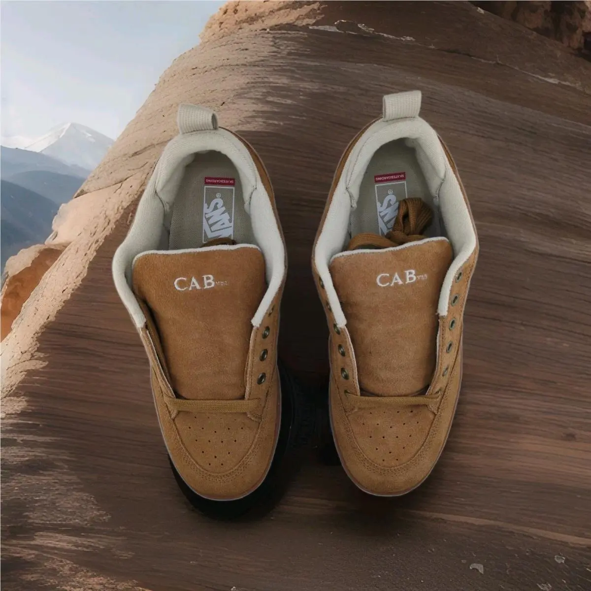 Vans shoes - Skate Cab 4 - Skate Cab - VN000D3JB7G - Brown (UPC: 197643272694) 6