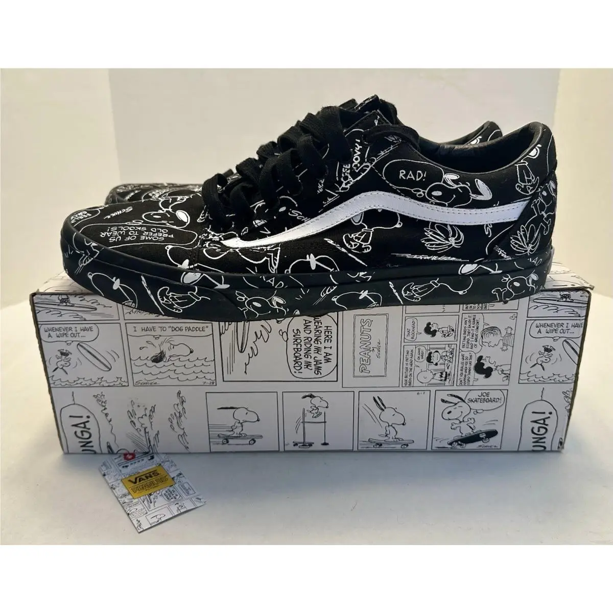 Vans shoes - Peanuts / Snoopy - Peanuts Snoopy - VN0A38G1QOC - Black 0