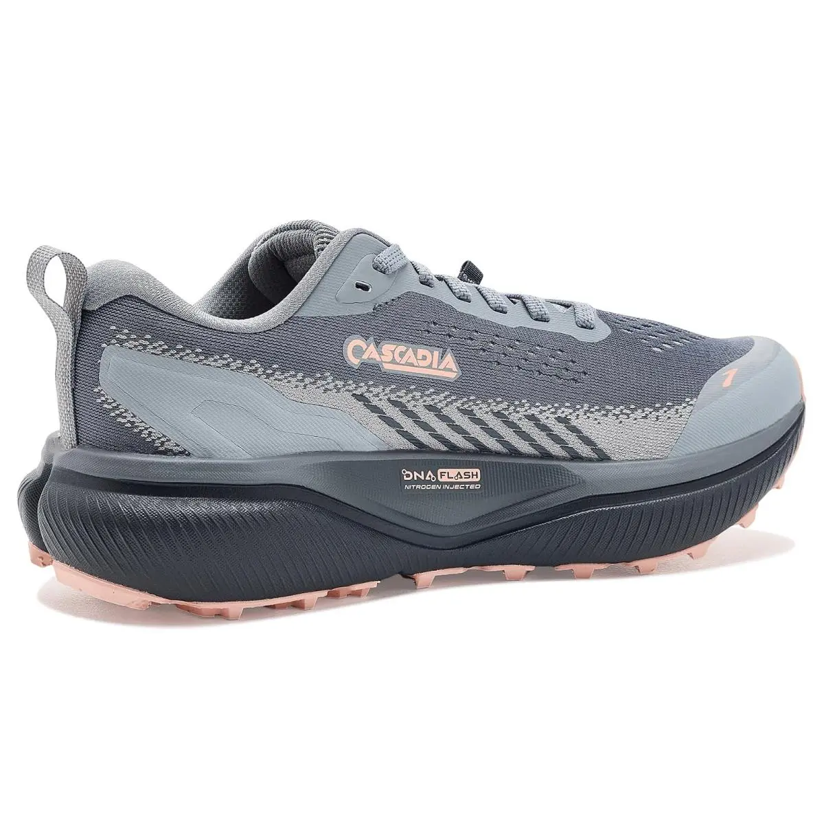Brooks shoes - Arctic Wolf/Rose/Nightlife 15