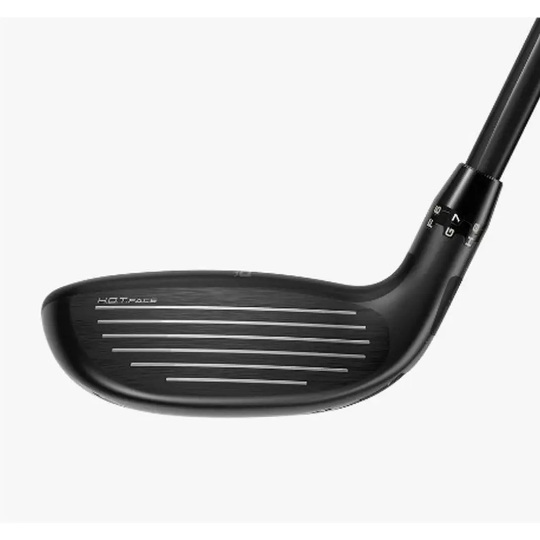 Cobra  - King Tec X ONE LENGTH (2025) 1