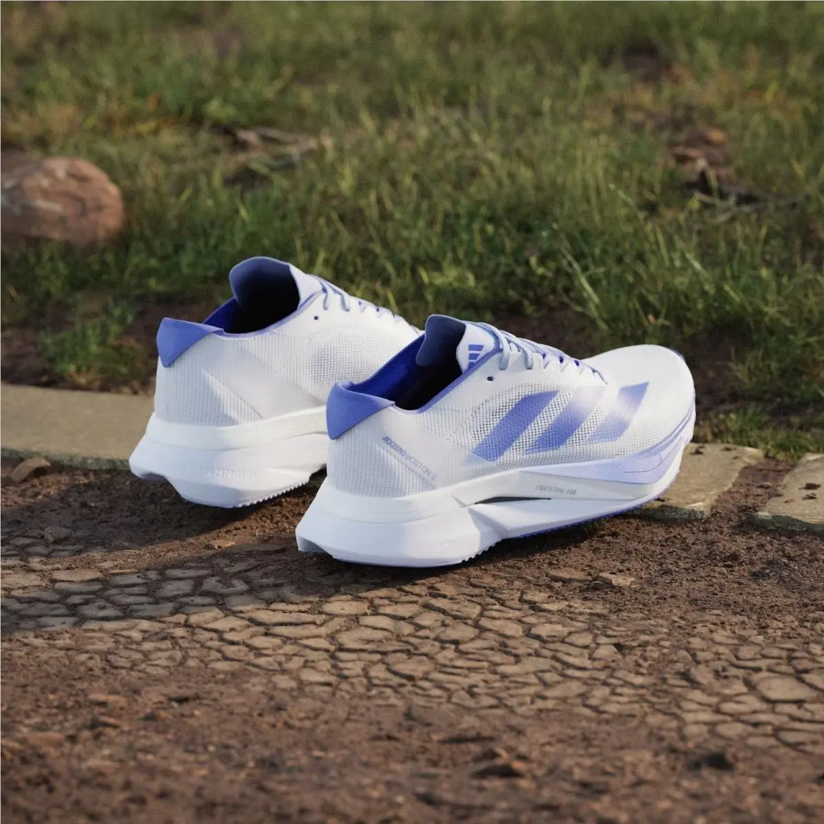 Adidas shoes - adidas Adizero Boston 12 - Adizero Boston - JI4479 - White 12