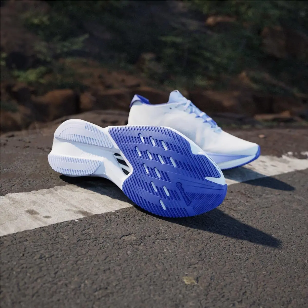 Adidas shoes - adidas Adizero Boston 12 - Adizero Boston - JI4479 - White 26