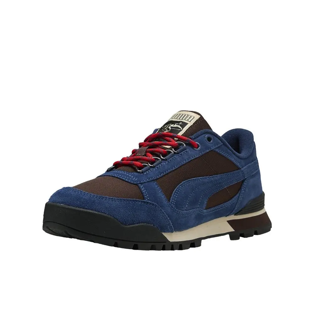 Puma shoes - PUMA Rdr Low Lace Up - 40296201 - Blue, Brown 0