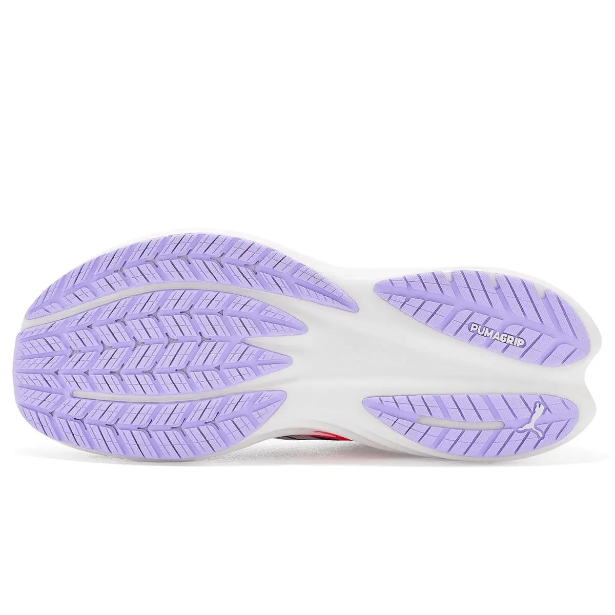 Puma shoes - Alpine Snow/Misty Pink 45