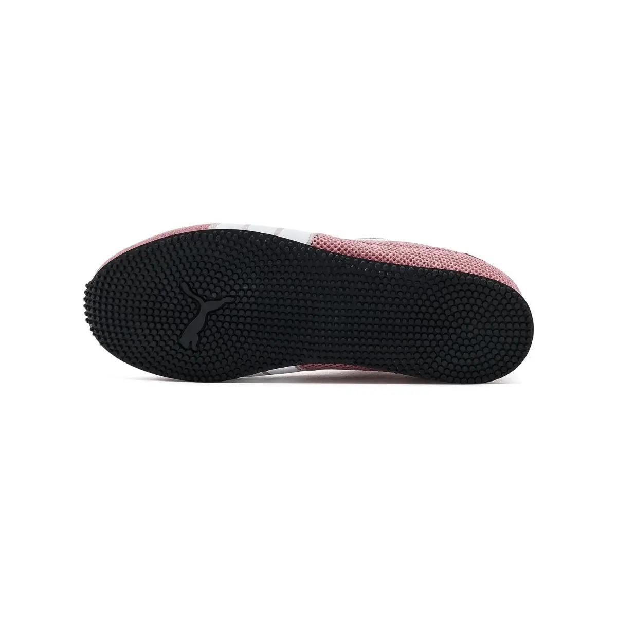 Puma shoes - Alpine Snow/Puma White 31
