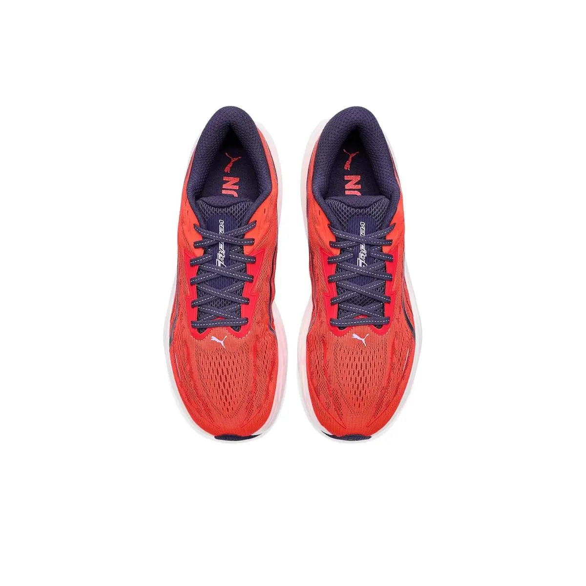 Puma shoes - Alpine Snow/Moody Gray 42
