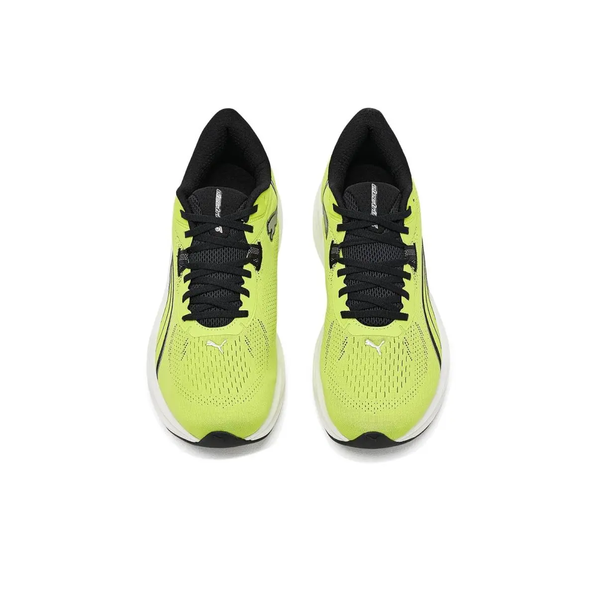 Puma shoes - Gray Echo/Sunny Lime 35