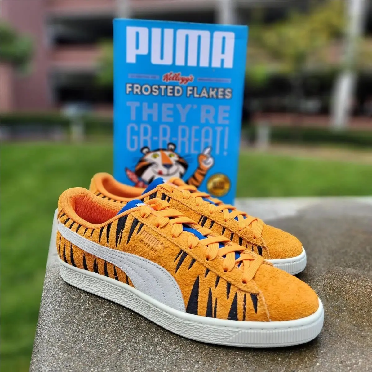 Puma shoes - 70th - 70th - Orange 3
