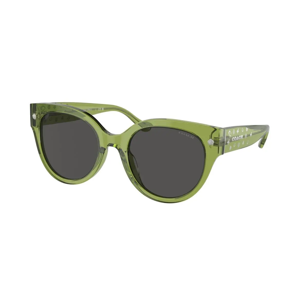 HC 8393 U Cr612 Transparent Key Lime Gre 581087 Size 53 Sunglasses by Coach