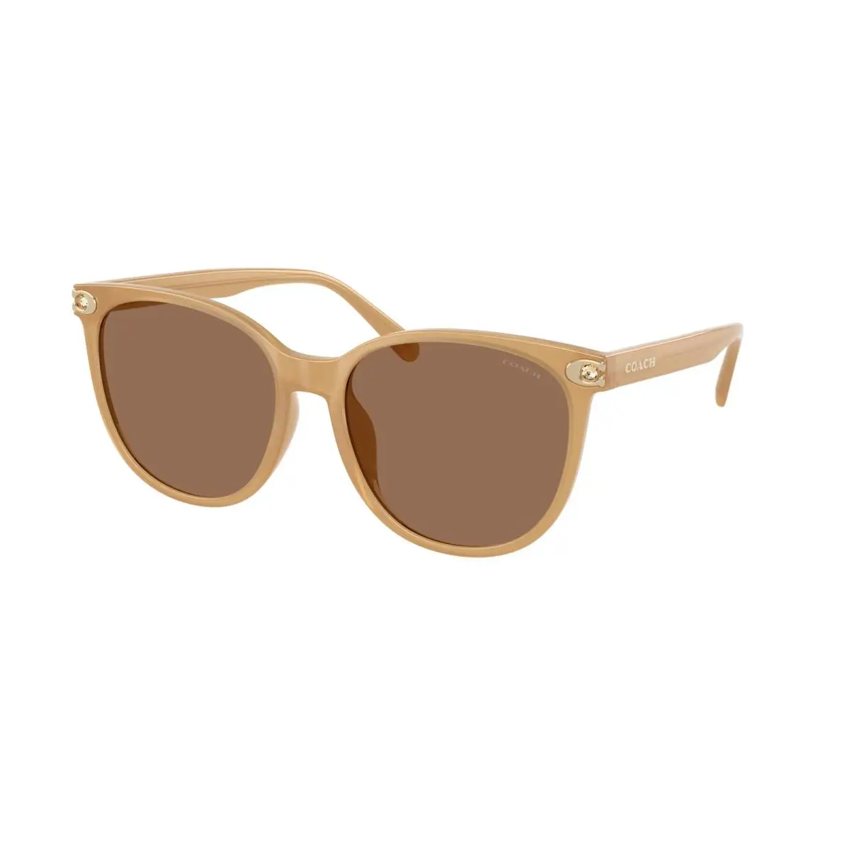 HC 8414 BD Cw428 Milky Tea Brown Solid 585473 Size 57 Sunglasses by Coach