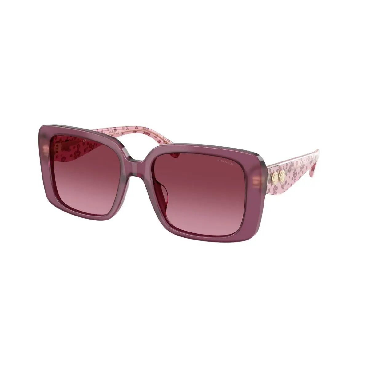 HC 8424 U Milky Purple / Gradient 59548H Size 54 Sunglasses by Coach