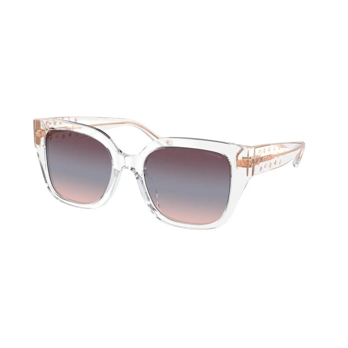 HC 8392 U Cr611 Transparent Clear Purple 51110J Size 53 Sunglasses by Coach