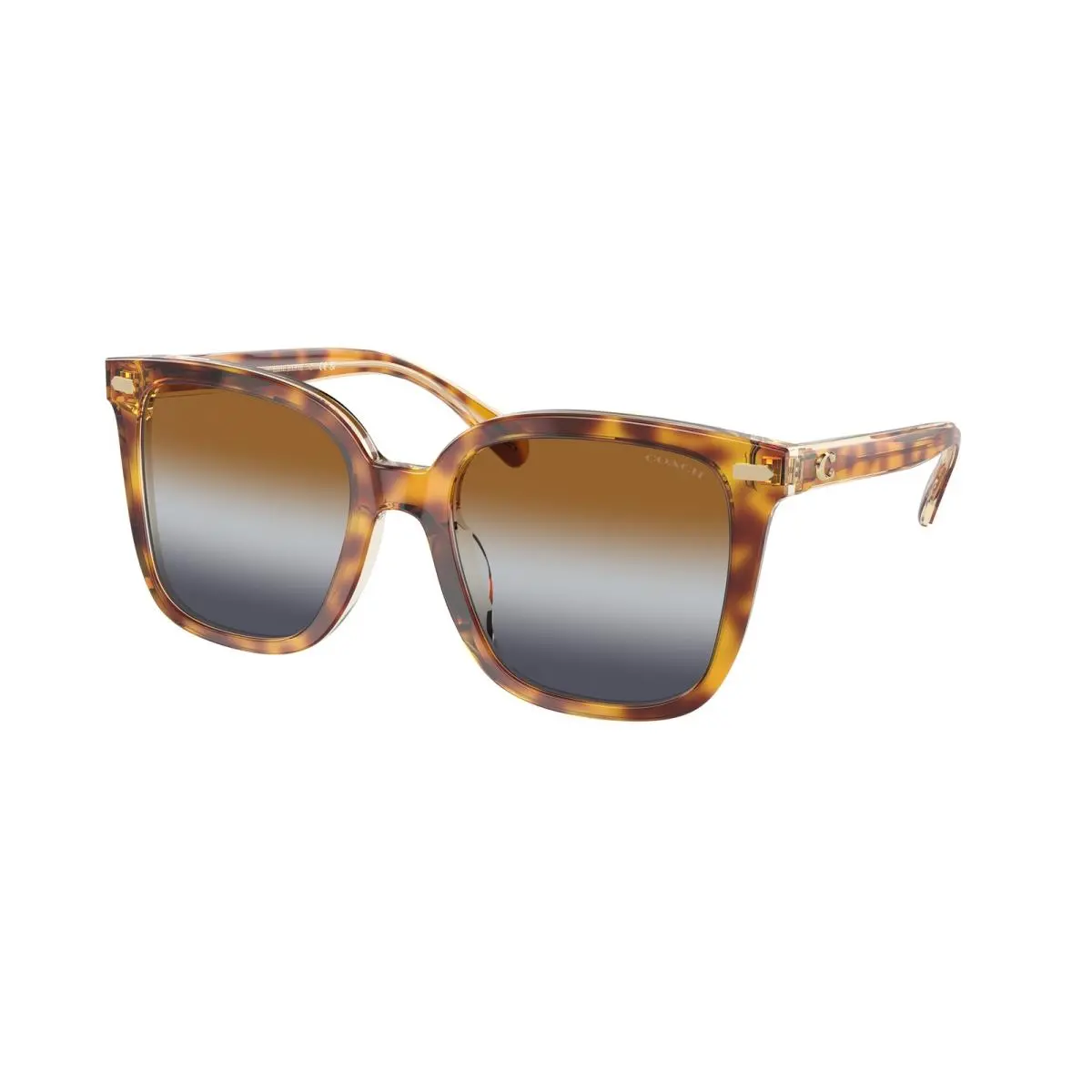 HC 8381 U Cl918 Dark Tortoise / Canary B 57563J Size 54 Sunglasses by Coach