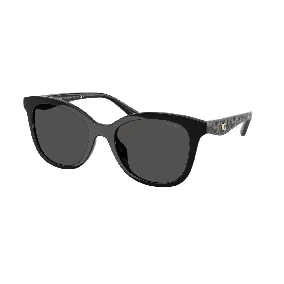 HC 8419 U Black / Grey Solid Polyamide Standard 500287 Size 55 Sunglasses by Coach