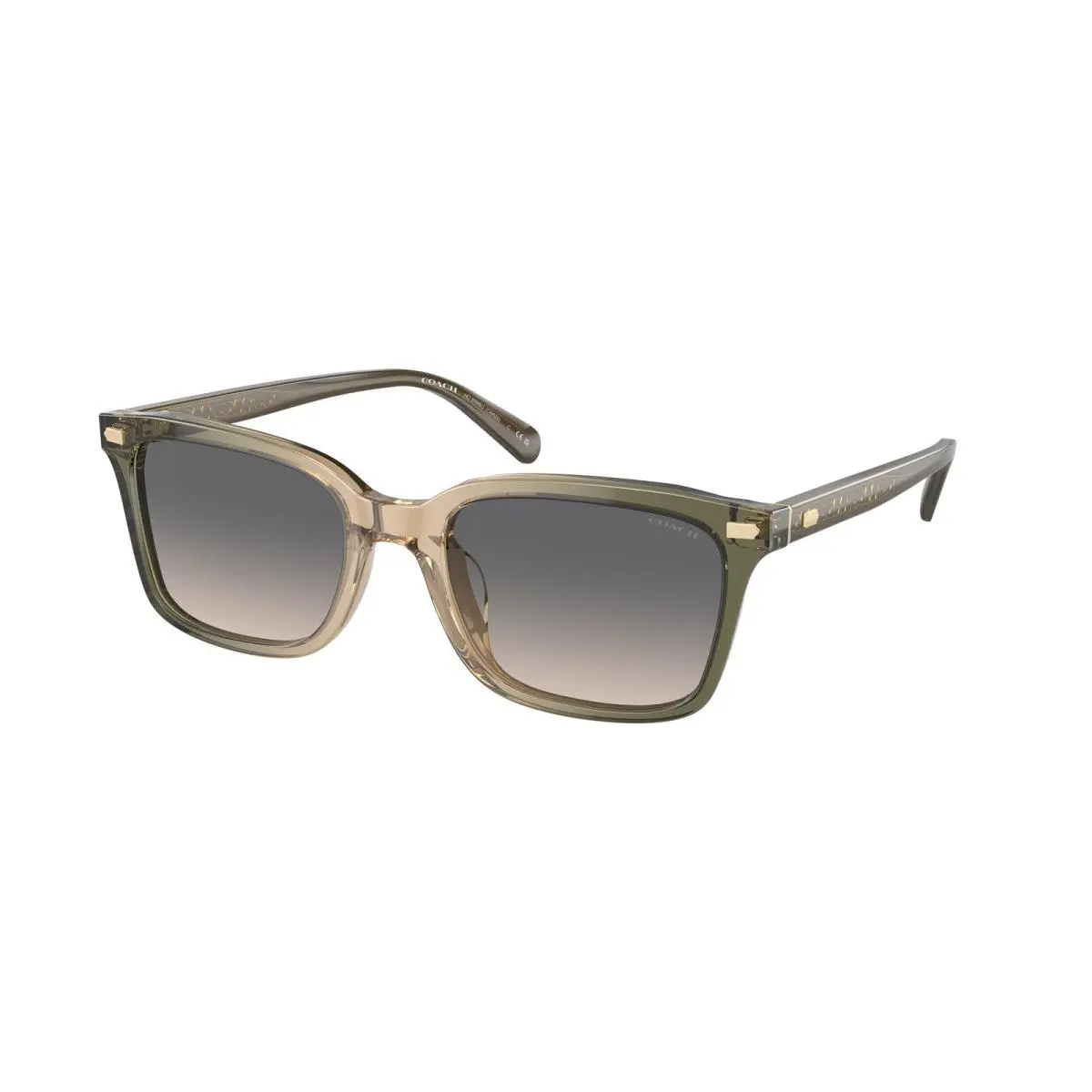 HC 8398 U Cr630 Olive Tan Gradient Green 5797G9 Size 54 Sunglasses by Coach