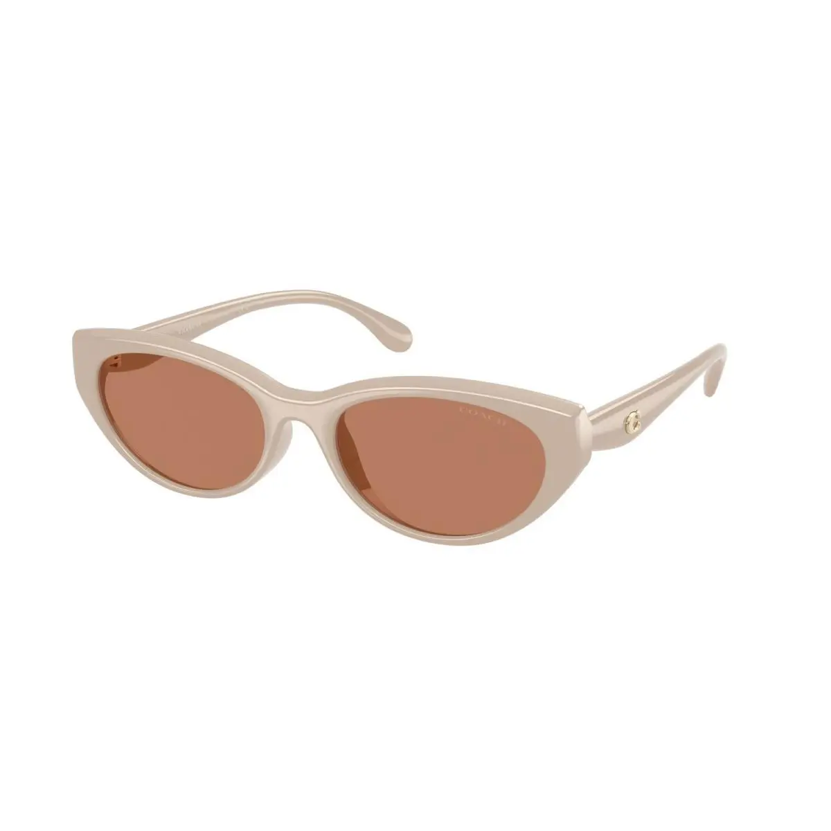 HC 8456 D Khaki Solid / Brown Polyamide Standard 58843 Size 55 Sunglasses by Coach