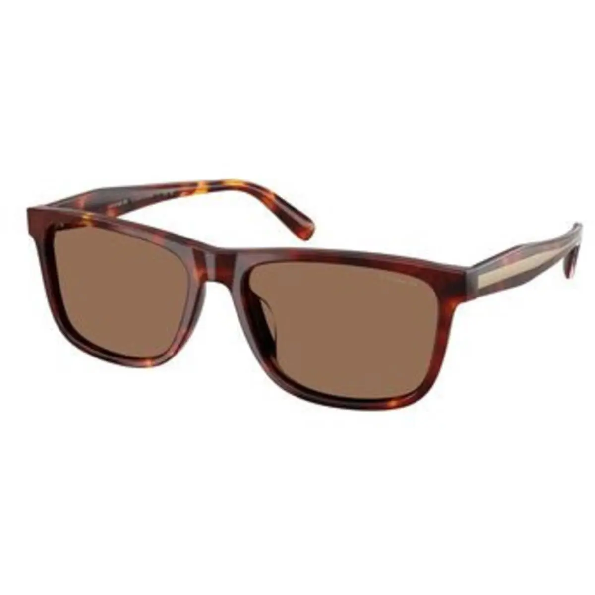 HC 8454 U Walnut Tortoise / Brown Solid 593813 Size 59 Sunglasses by Coach