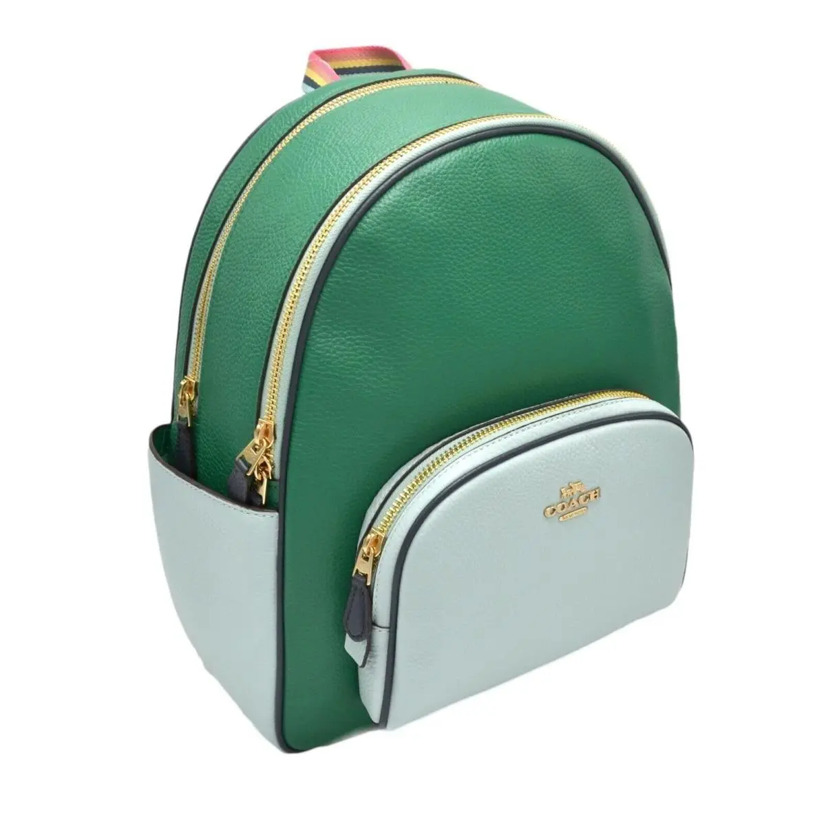 Court Colorblock Pebbled Leather Luxury Travel Backpack Purse Green by Coach