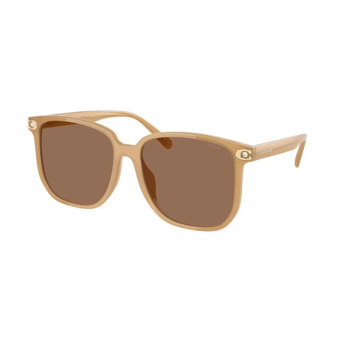 HC 8413 BD Cw419 Milky Tea Brown Solid 585473 Size 58 Sunglasses by Coach