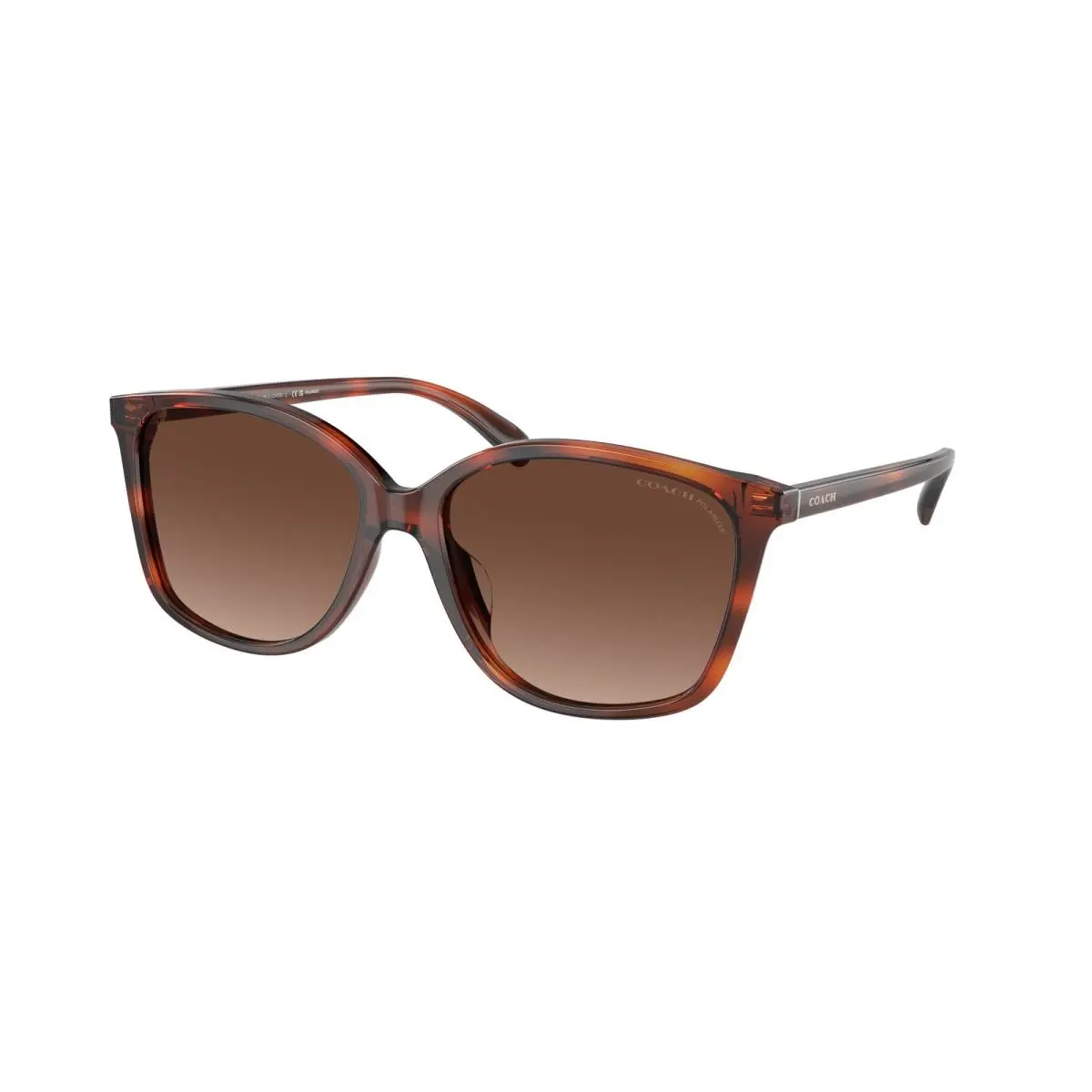 HC 8361 U Ch558 Caramel Tortoise Brown G 5741T5 Size 57 Sunglasses by Coach