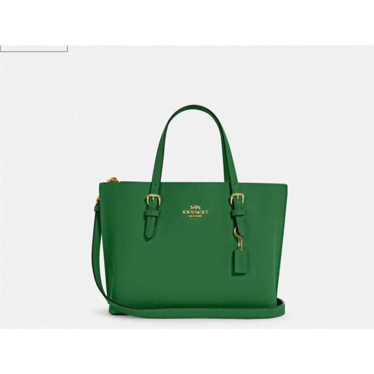 Mollie Women`s Tote 25 Small - Gold/kelly Green by Coach