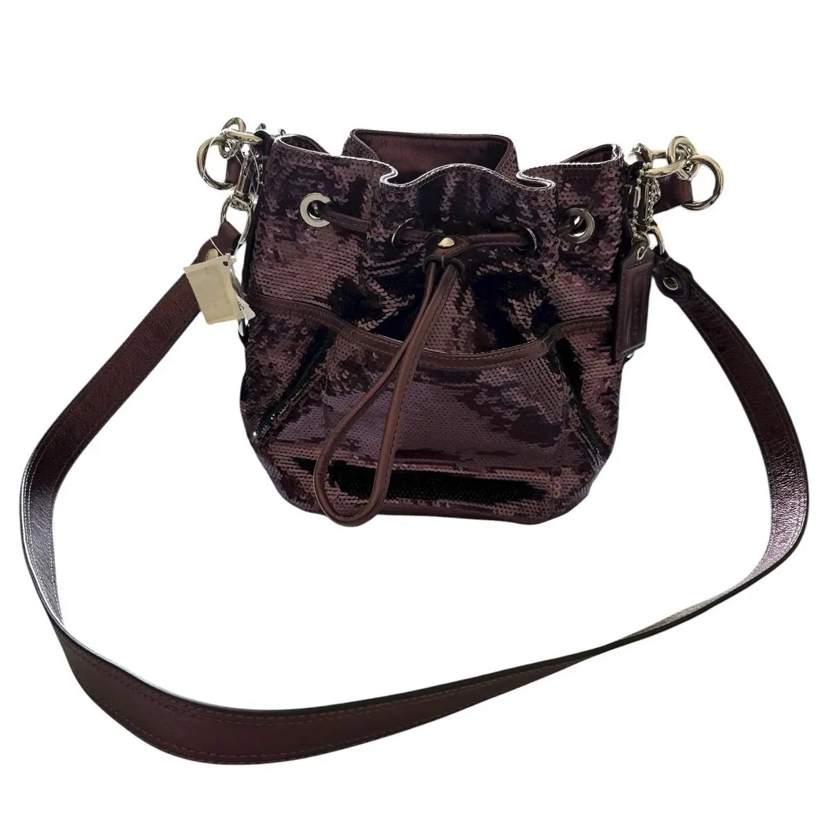 Poppy Special Edition Sequins Amethyst Cinch Drawstring Bucket 17906 by Coach