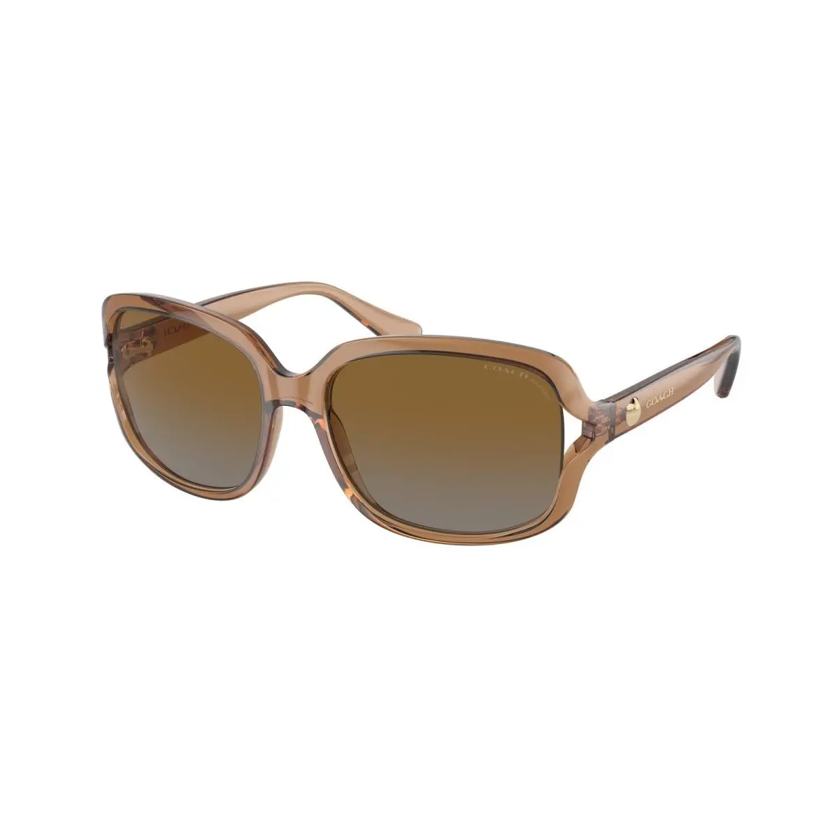 Coach HC 8169 L149 Transparent Brown G 5561T5 Size 57 Sunglasses