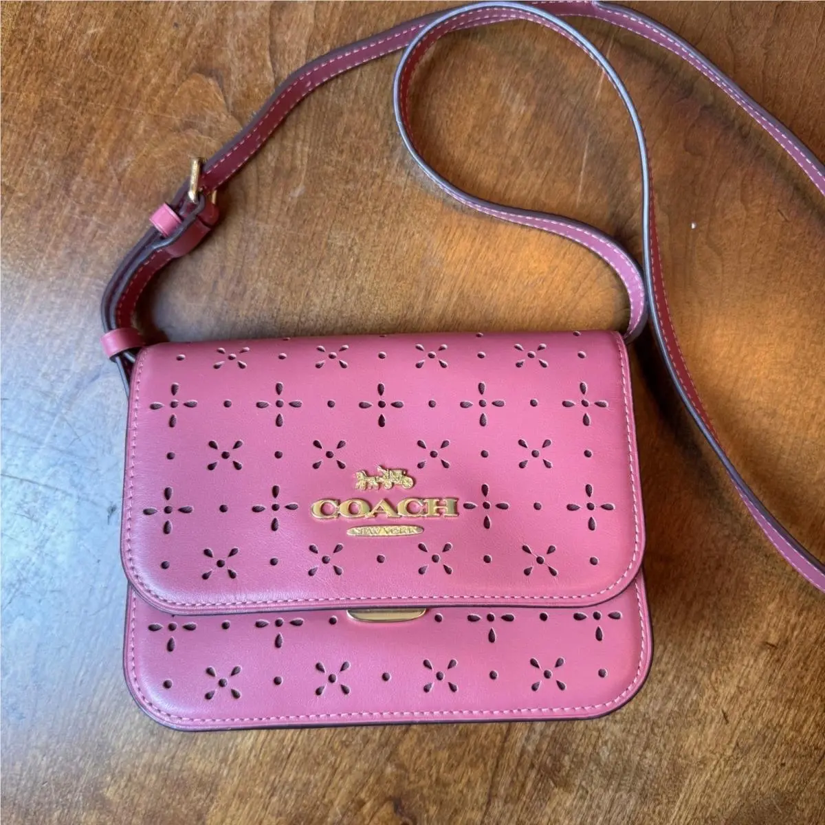 Crossbody Bag Women Mini Rouge Pink Mini Brynn Laser Cut Leather CA792 by Coach