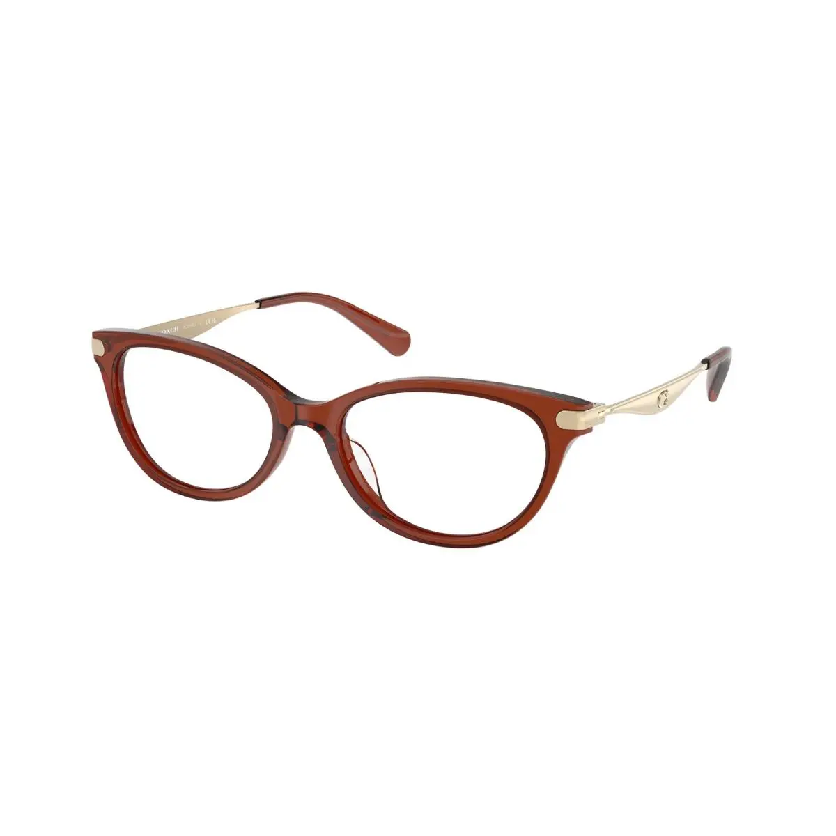 HC 6245 U Transparent Brown 5847 Size 53 Eyeglasses by Coach
