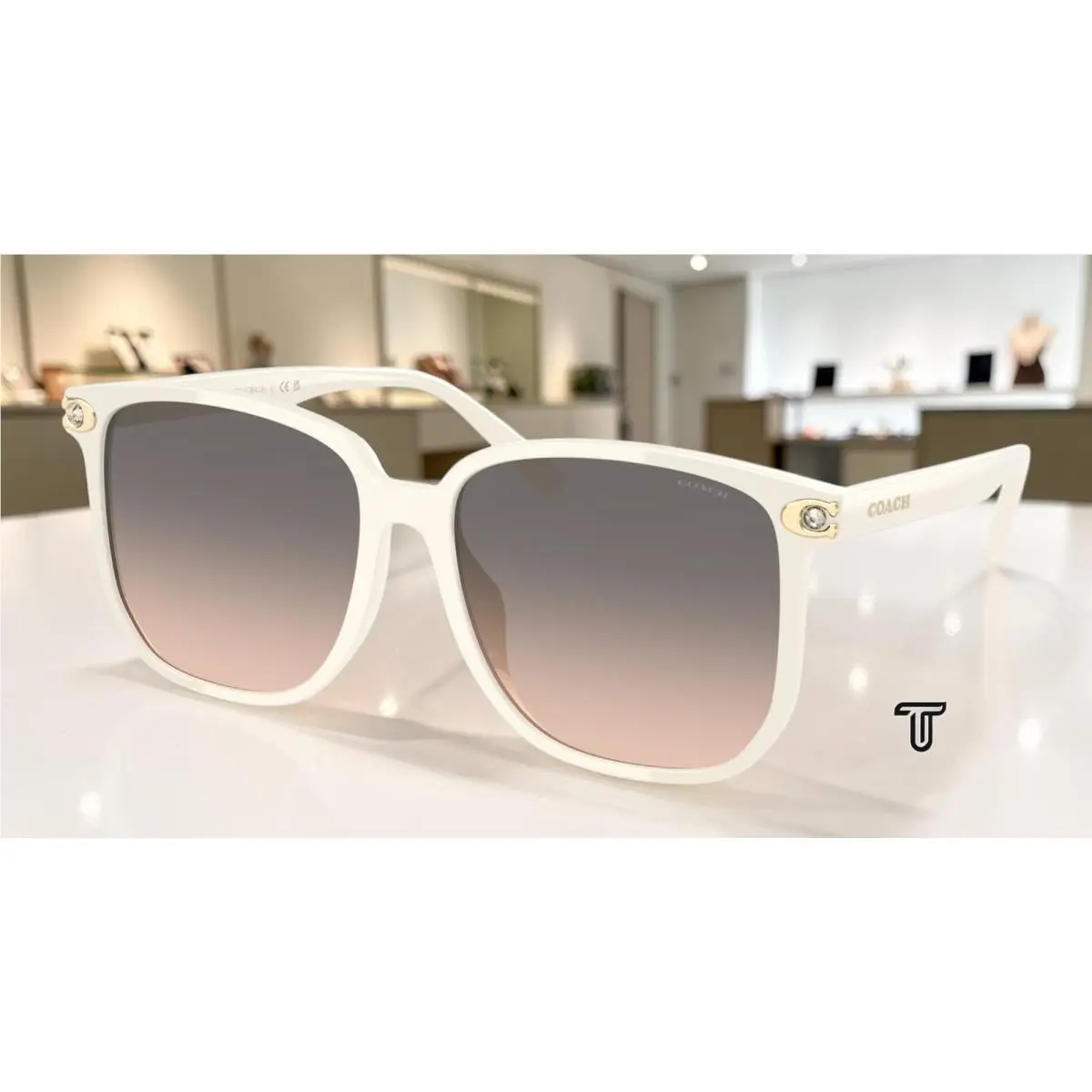 HC8413BD 5853G9 Cw419 Ivory Solid Warm Grey Gradient 58mm Women Sunglasses by Coach