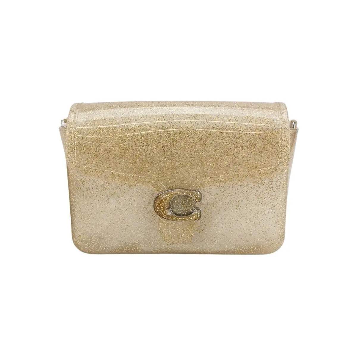 Jelly Tabby Convertible Clear Bag Missing Crossbody Strap Summer by Coach