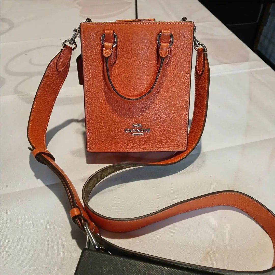 CJ501 North South Mini Tote with Signature Canvas Khaki Tangerine by Coach