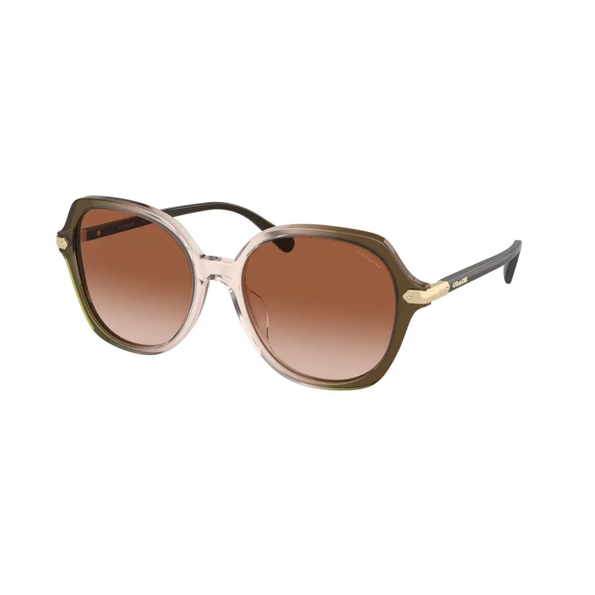 HC 8377 U Cl925 Olive Beige Gradient Bro 540013 Size 55 Sunglasses by Coach
