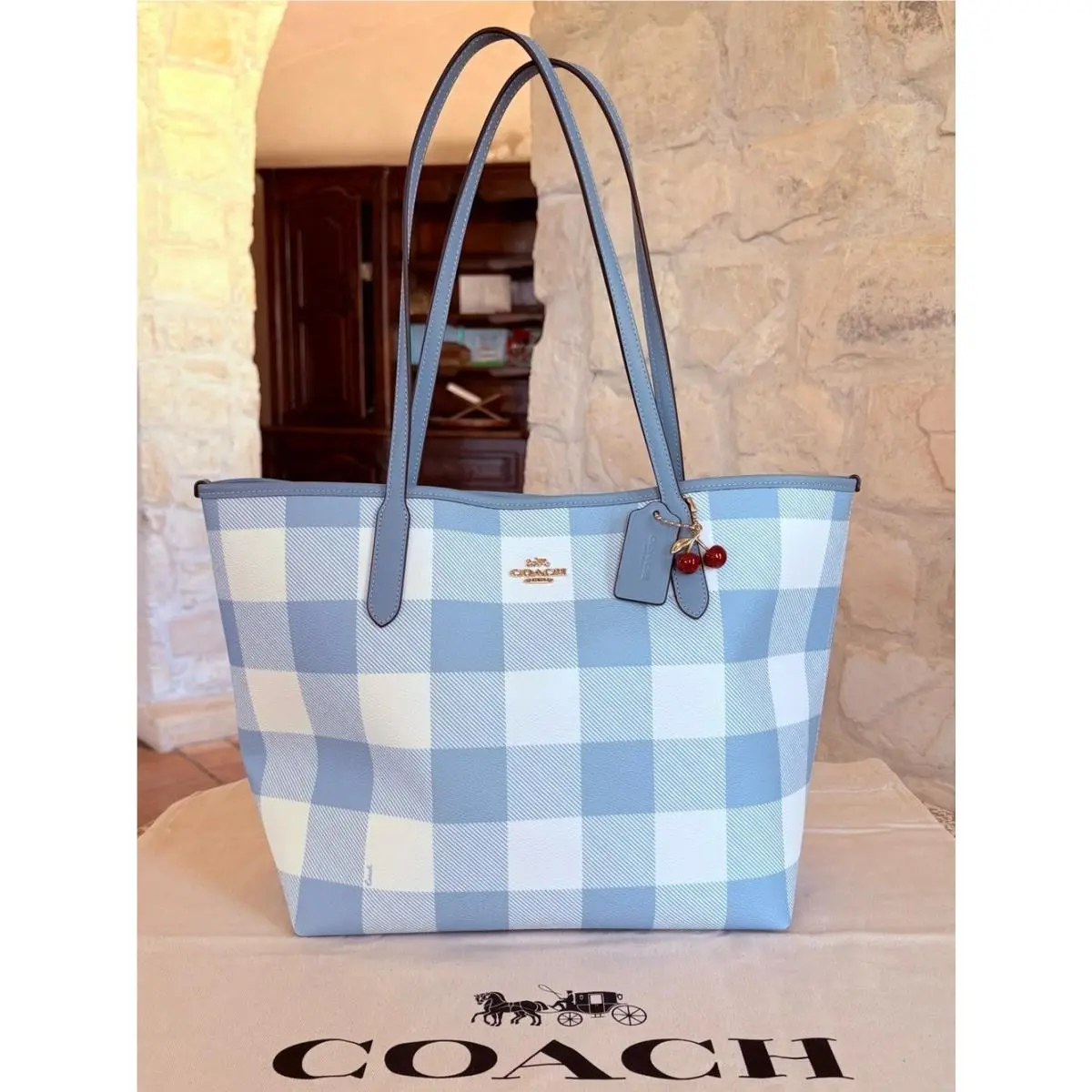 Coach City Tote Womens Bag with Gingham Print and Charm CES64 Blue/multi