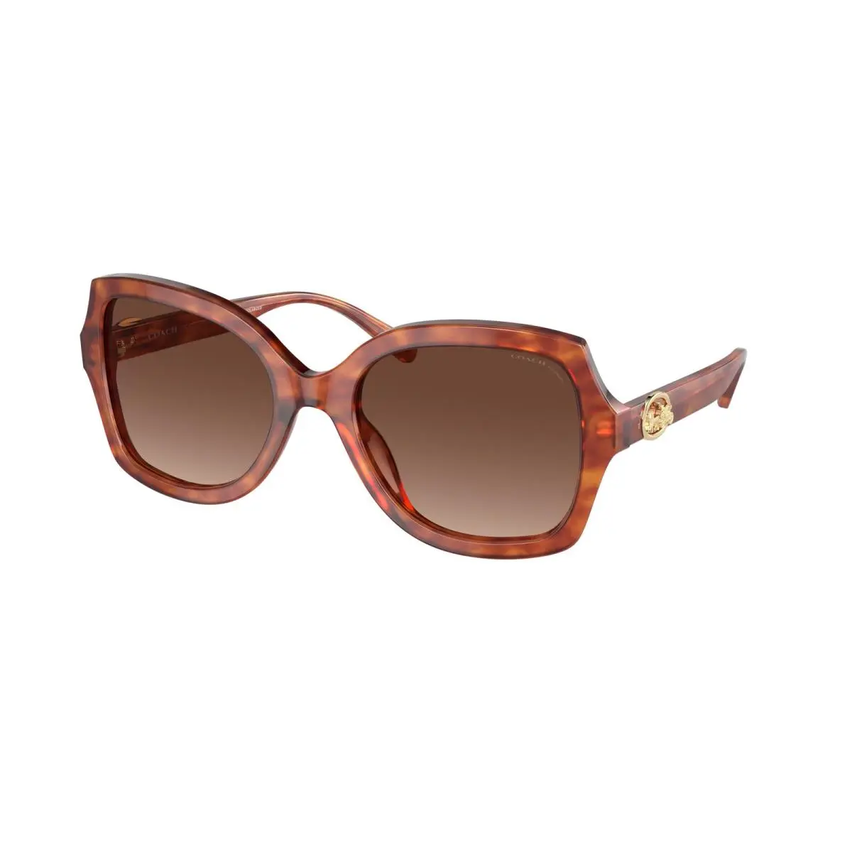 HC 8295 L1147 Caramel Tortoise Brown G 5774T5 Size 56 Sunglasses by Coach
