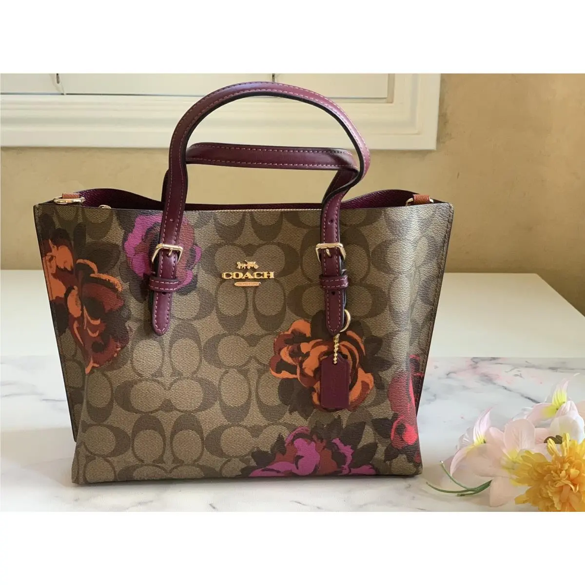 Mollie Women`s Tote Small - Gold/khaki Multi CF334 by Coach