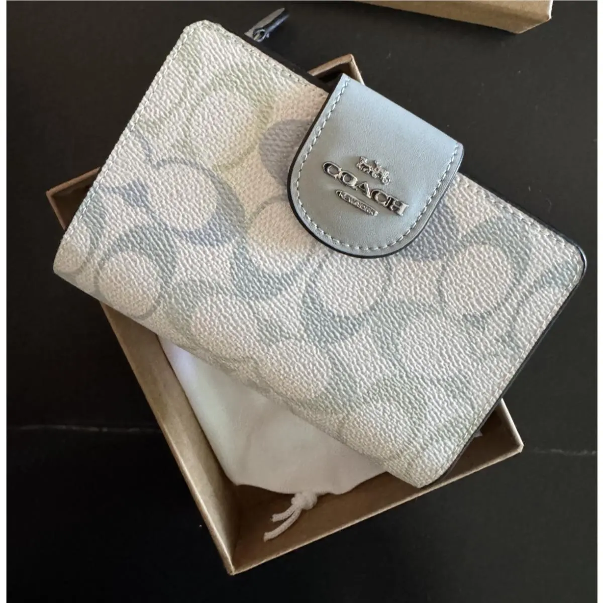Medium Corner Zip Wallet Pretty Signature CEC31 Silver/chalk/blue by Coach
