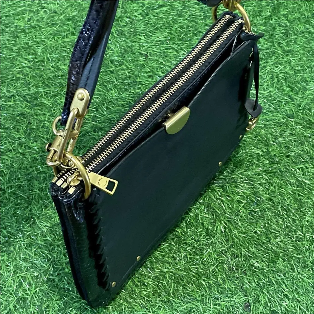 Whiplash Exotic Dreamer Shoulder Bag Black Multi Leather 69611 by Coach