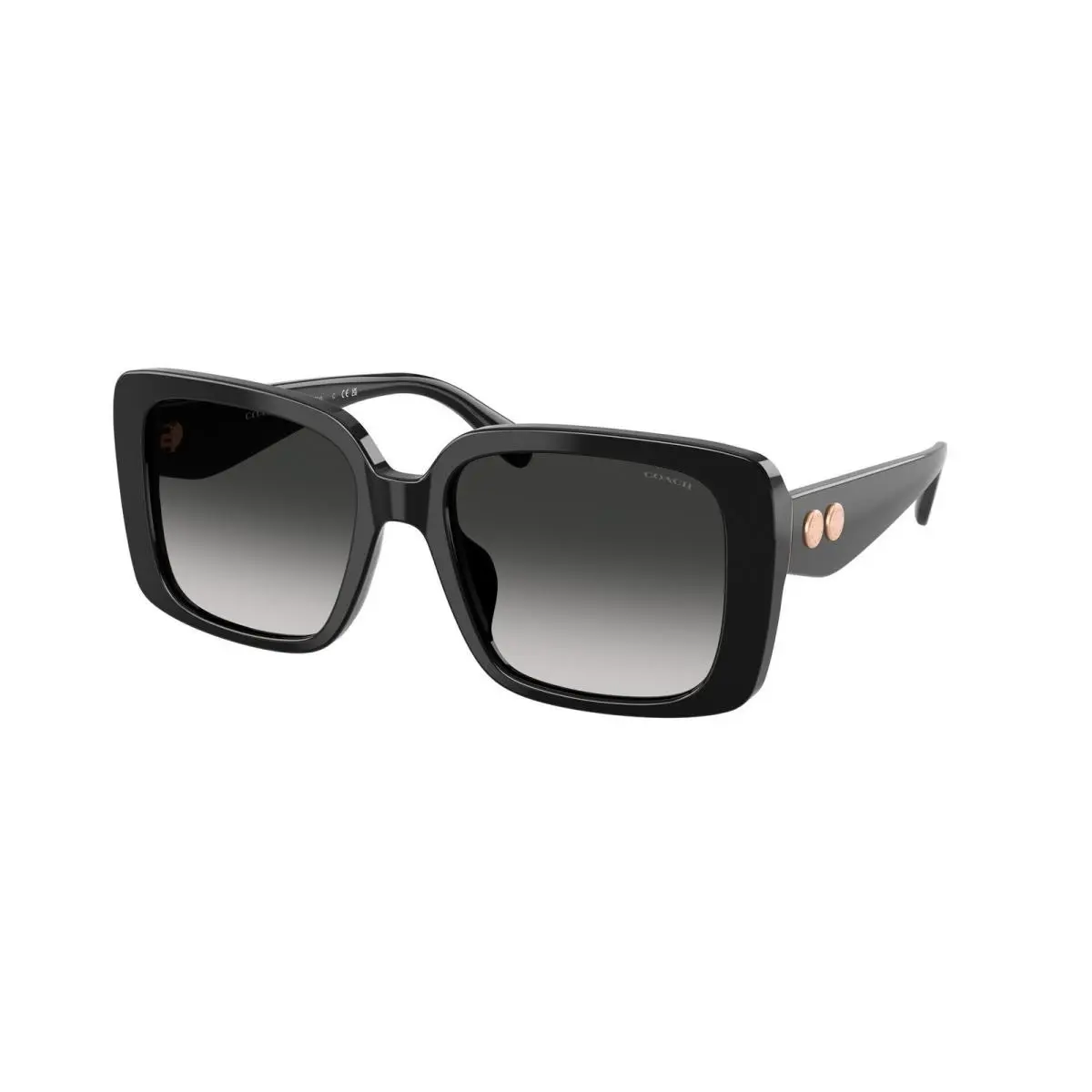 HC 8424 F Black / Grey Gradient 50023C Size 56 Sunglasses by Coach