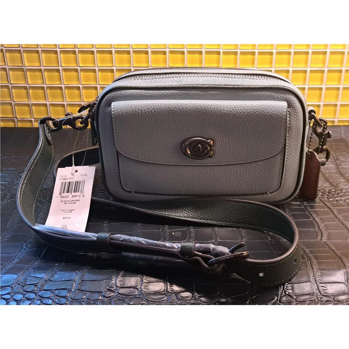 CO695 Colorblock Leather Willow Camera Bag Sage Multi by Coach