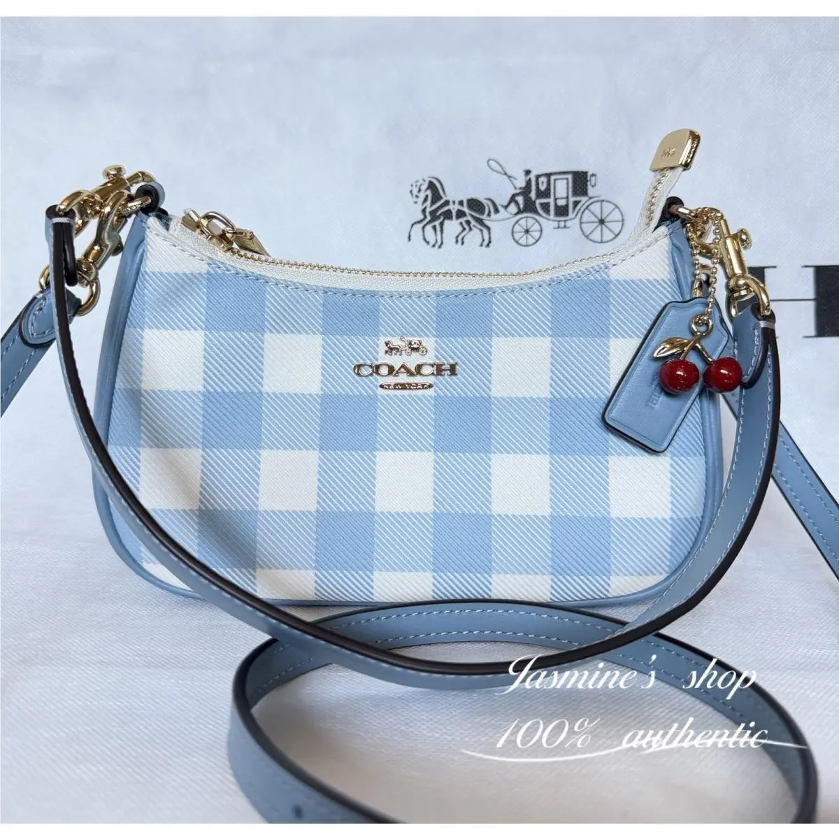 Teri Mini Crossbody Bag with Gingham Print and Charm CEN05 Blue Multi by Coach