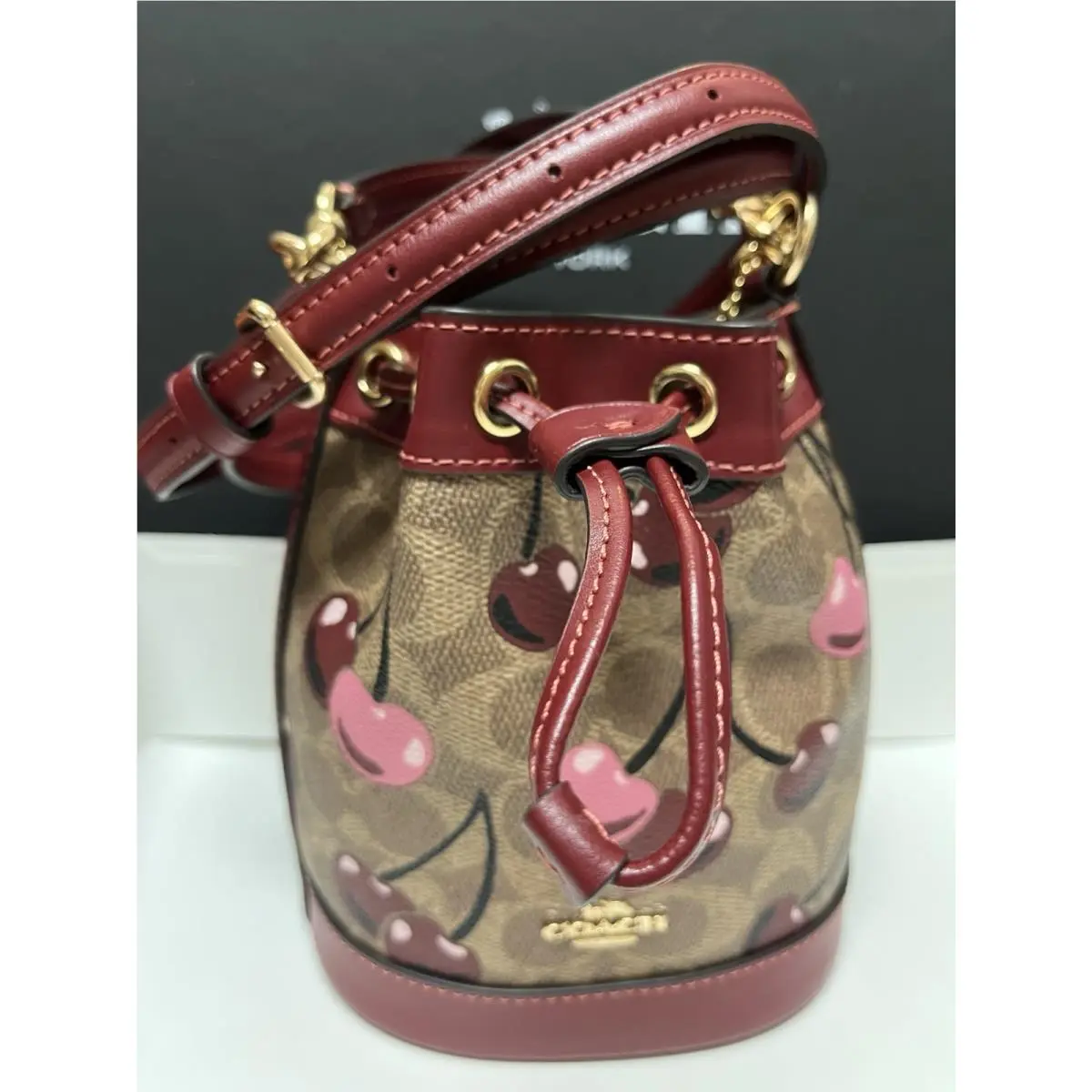 Mini Bucket Bag In Signature Canvas with Cherry Print CY738 by Coach