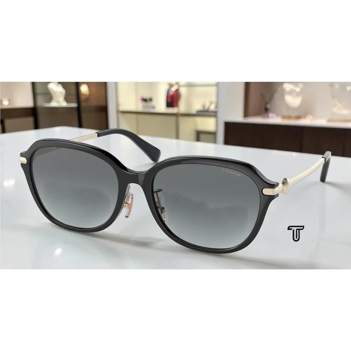 HC8332D 500211 C6199 Black Grey Gradient 56 mm Women`s Sunglasses by Coach