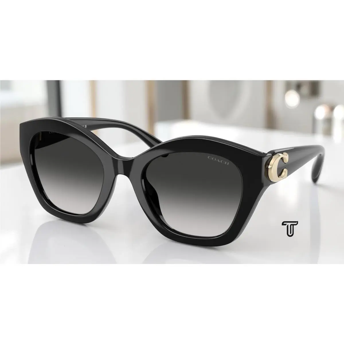 HC8421U 50023C Cad31 Black Grey Gradient 54 mm Women`s Sunglasses by Coach